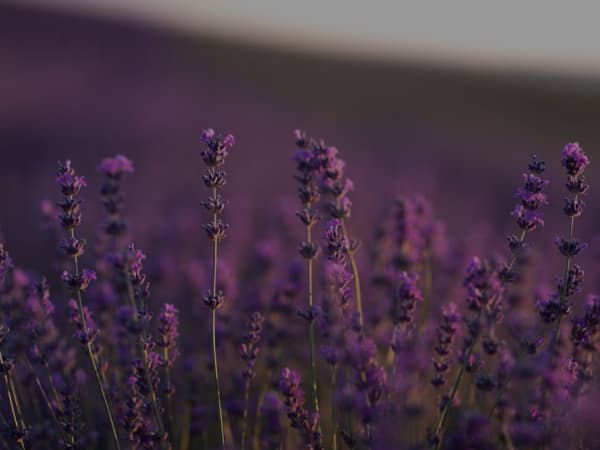 Outdoor & Refreshing