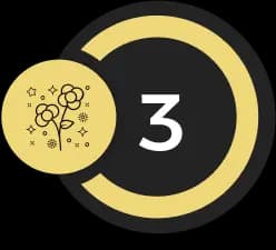 3