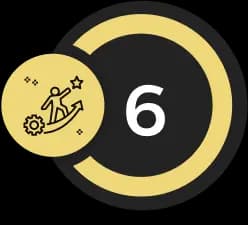 6