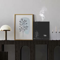 ECO SCENT SMALL MACHINE 2