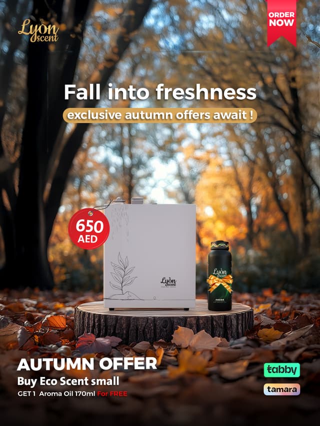 Autumn offer
